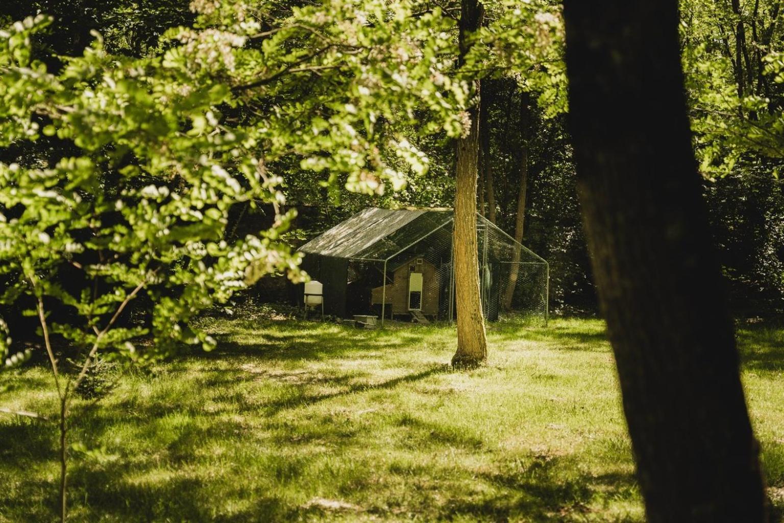 Domaine De Montizeau Bed and Breakfast Lailly-en-Val Buitenkant foto